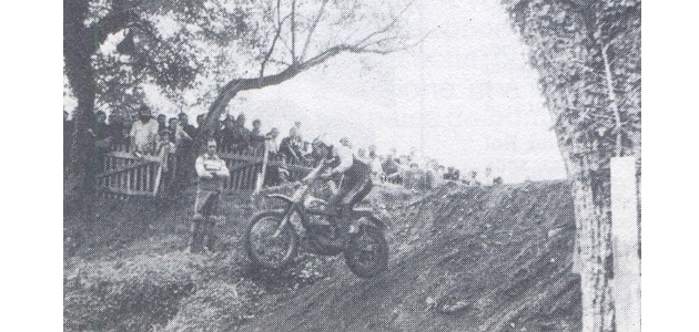 Arbis 1971
